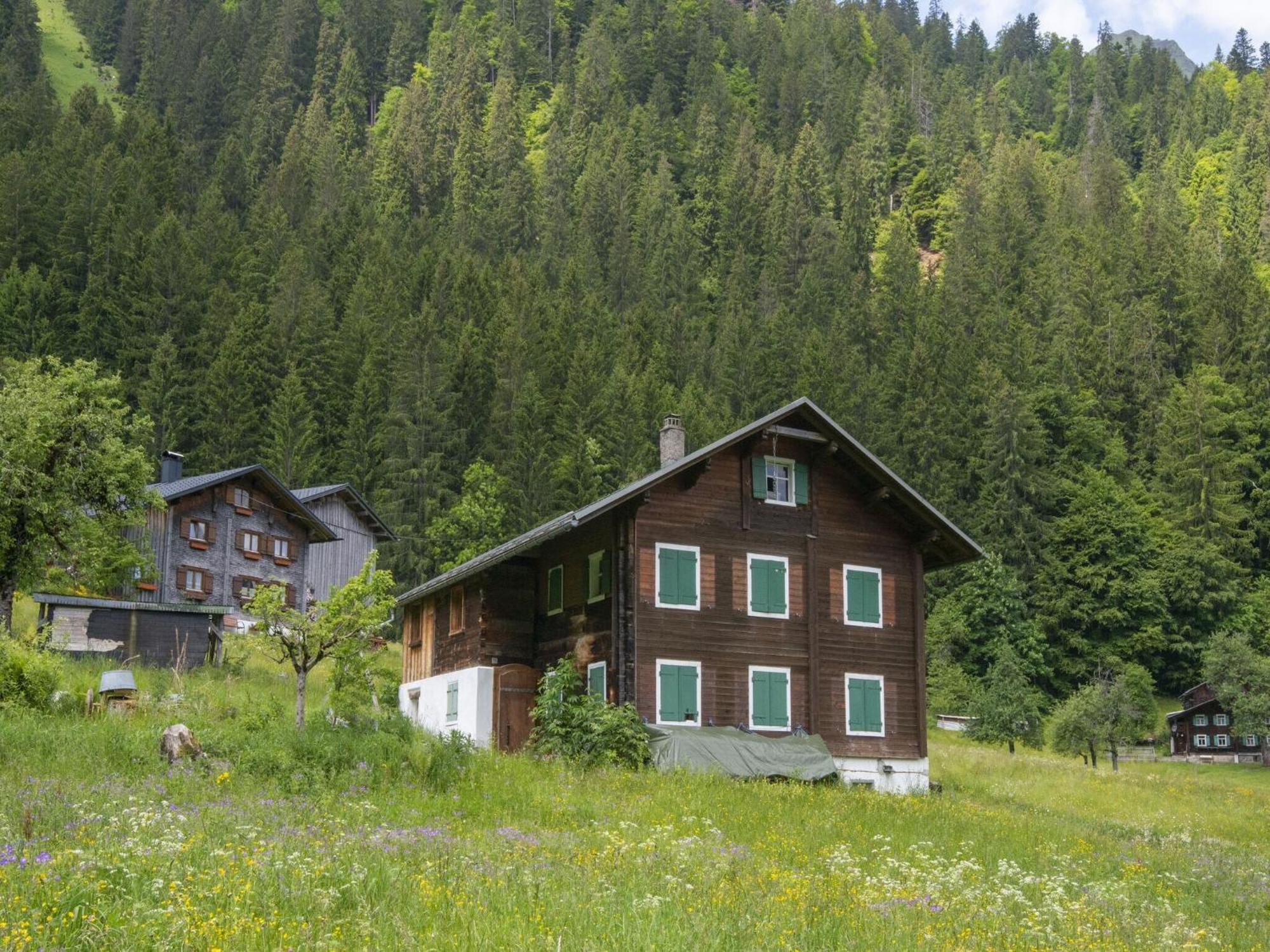 Holiday Home Near Ski Resort In St Gallenkirch ザンクト・ガレンキルヒ エクステリア 写真