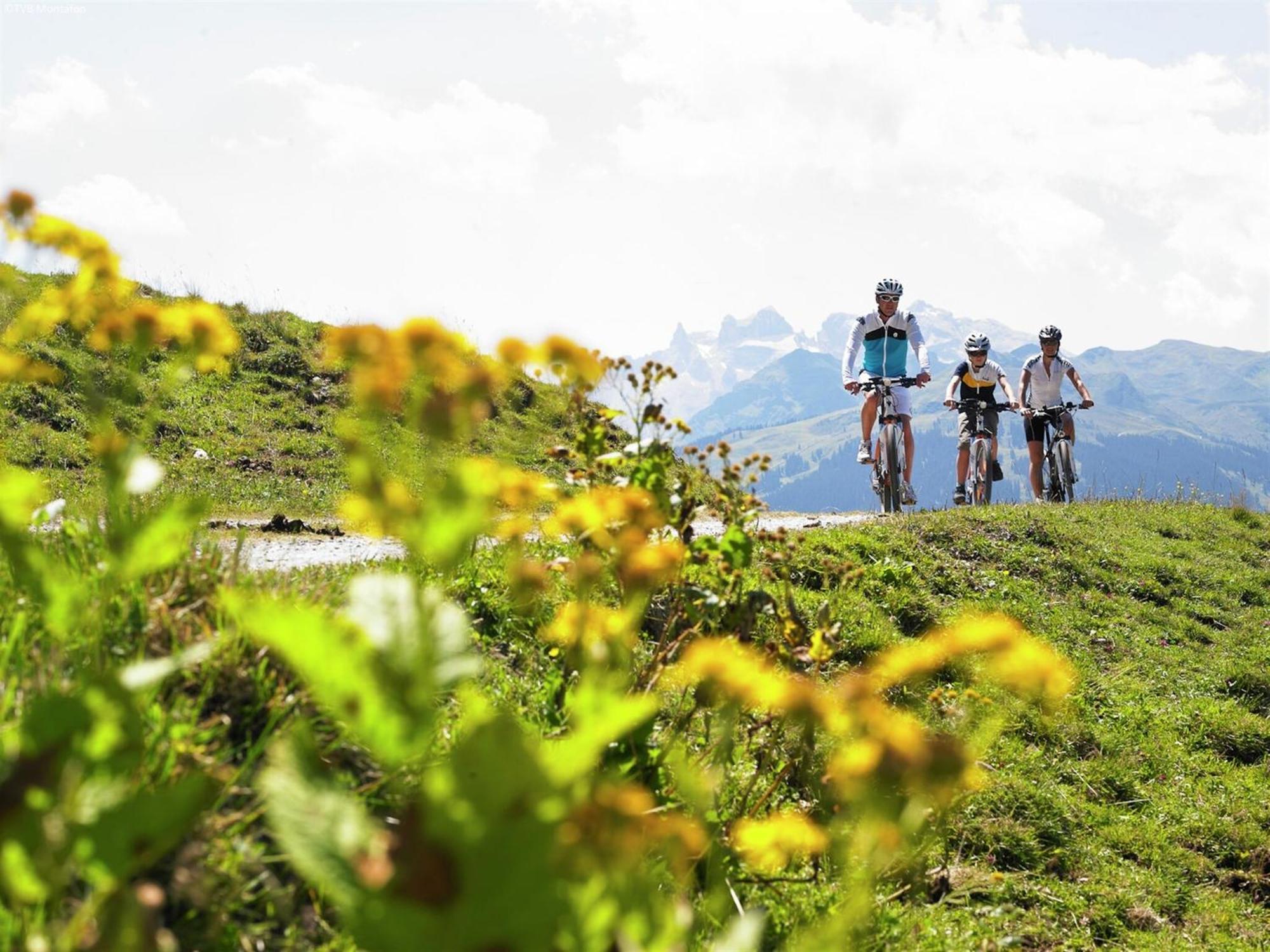 Holiday Home Near Ski Resort In St Gallenkirch ザンクト・ガレンキルヒ エクステリア 写真